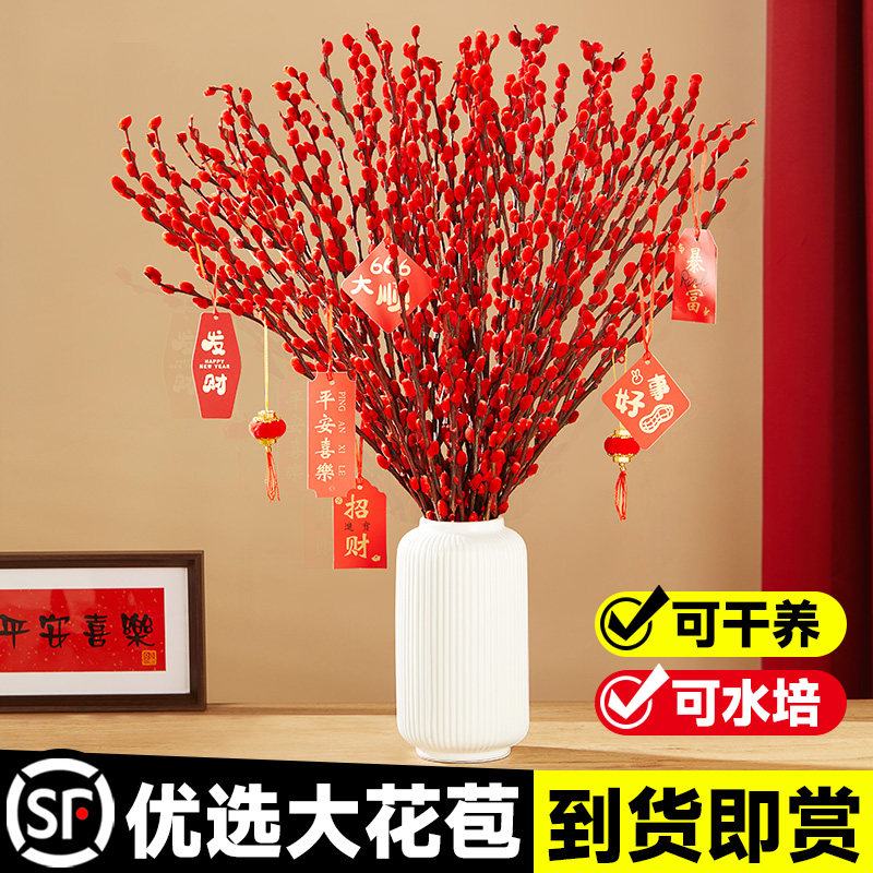 银柳真花鲜枝红色干花干枝客厅摆件新年装饰年宵花福桶抱抱桶盆栽,鲜花速递/花卉仿真/绿植园艺,时令草本花卉,淘宝优惠券,粉丝福利购,淘宝优惠卷
