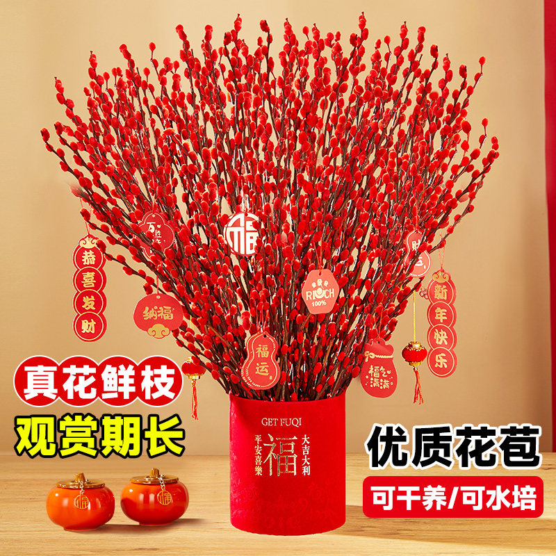 银柳真花鲜枝客厅摆件新年装饰红色年宵花福桶抱抱桶干花干枝盆栽,鲜花速递/花卉仿真/绿植园艺,时令草本花卉,淘宝优惠券,粉丝福利购,淘宝优惠卷