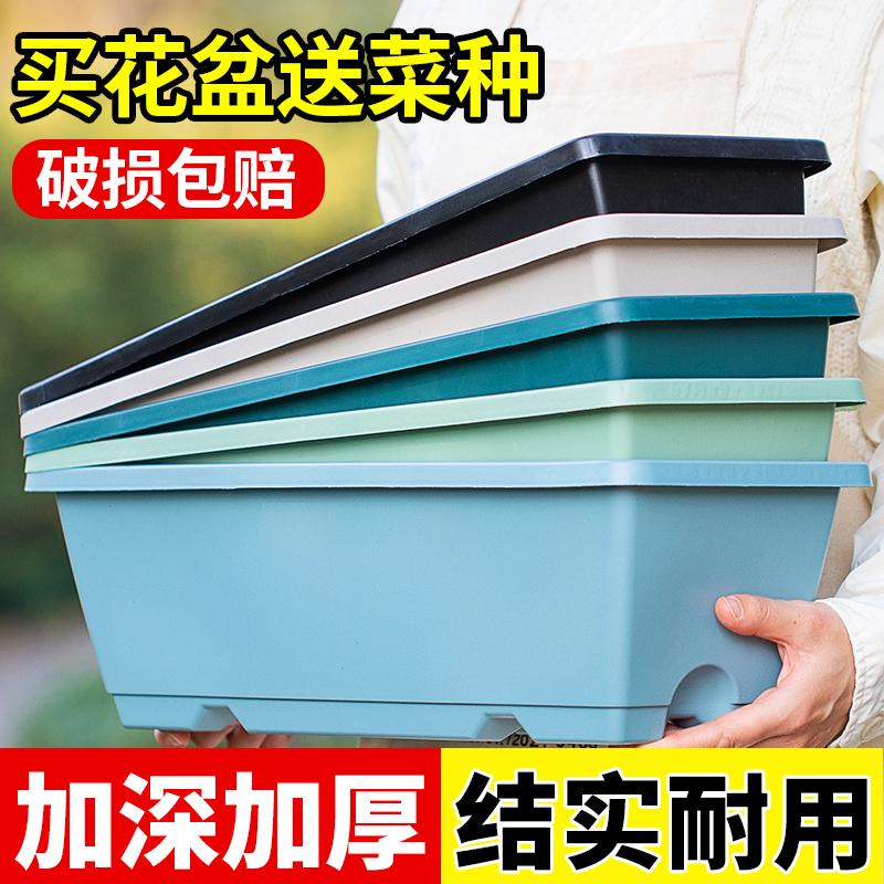 种菜盆家庭阳台种菜神器塑料