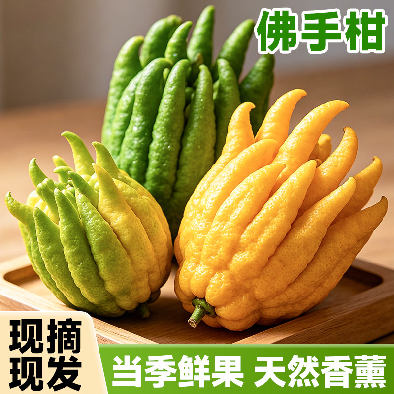 佛手柑鲜果特大香橼佛手瓜水培植物盆栽室内桌面天然香薰观赏摆件