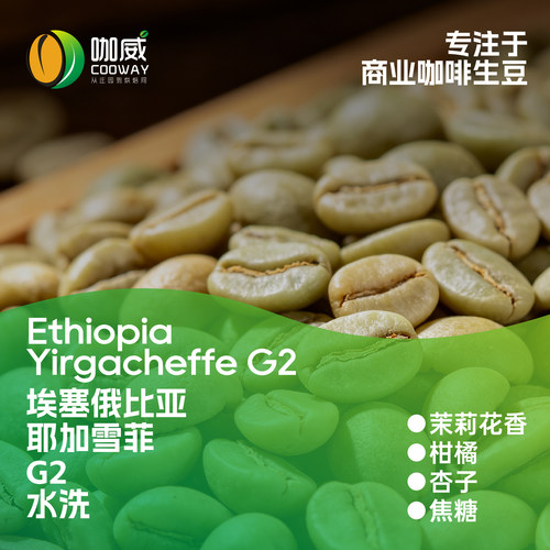 2026新产季 埃塞耶加雪菲G2水洗精选咖啡生豆