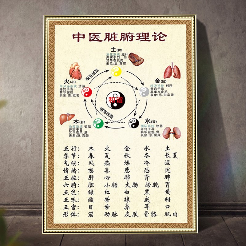 中医脏腑理论对照表墙贴五脏六腑关系挂图中医q五行养生海报宣传