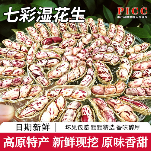 【2025新货】云南七彩新鲜花生