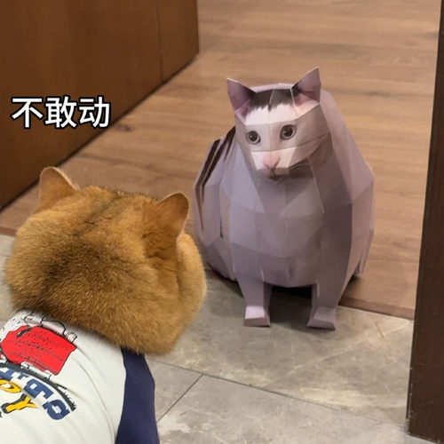 立体纸模型oiiao猫huh猫Maxwell猫疑惑猫手工diy折纸纸猫创意玩具