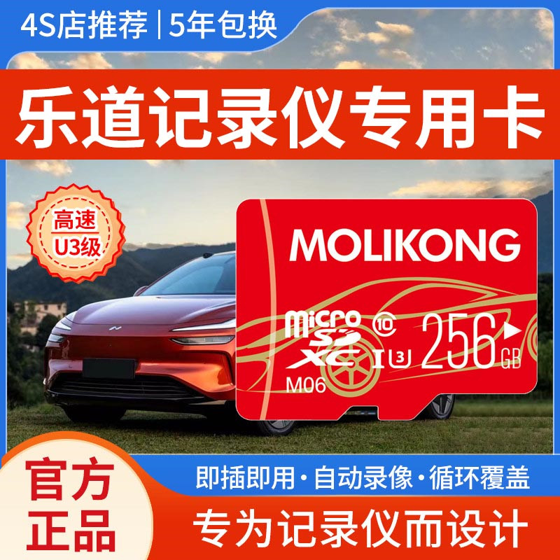 蔚来乐道L90/L60行车记录仪专用内存卡256g高速储存SD卡哨兵TF卡