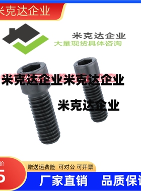 小径内六角螺丝 SBB3/4/5/6-5/6/8/10/12/16/20/25精品