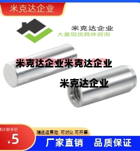 BLX01定位销02/06/07/08/05/H7-G6/D5/6/8/10/12/L15/50/20/30/25