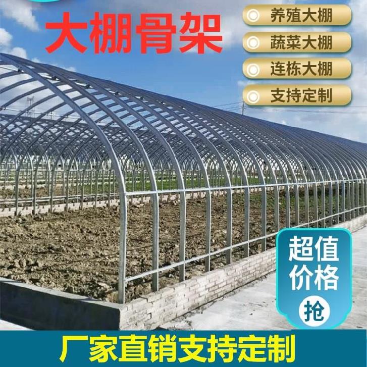 温室大棚钢管骨架蔬n菜养殖棚温棚户外防风室外椭圆拱棚不锈钢架