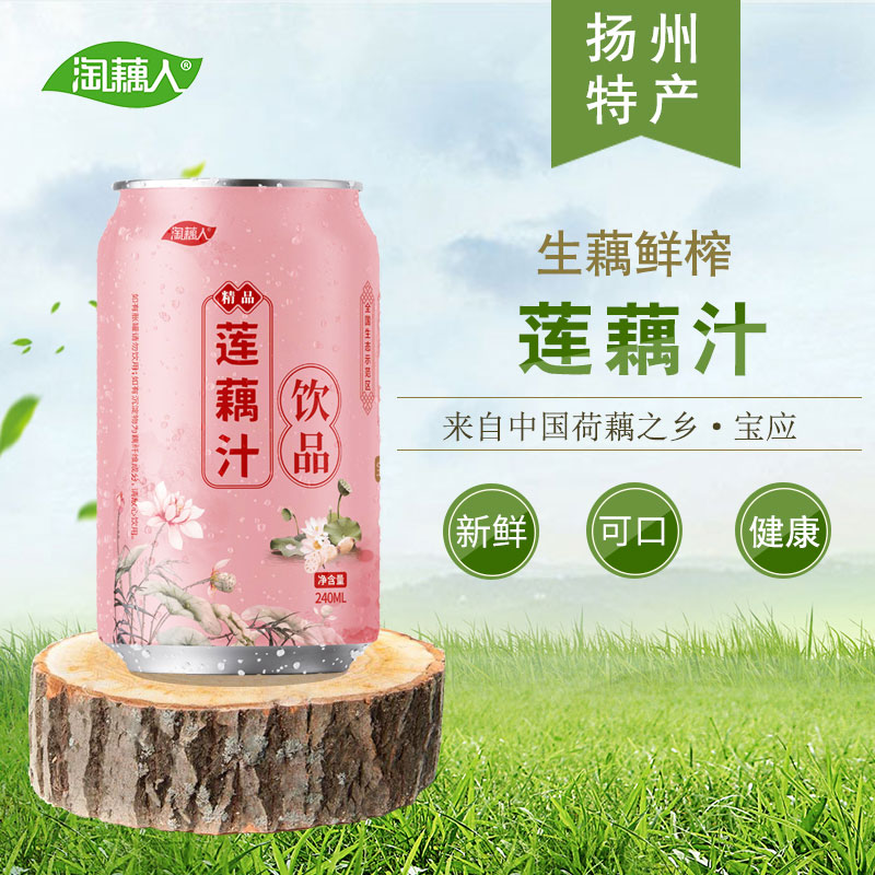 扬州特产宝应莲藕汁果蔬汁饮料品