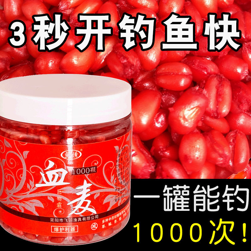 鱼诱血麦麦粒钓鱼饵料黑坑鱼料