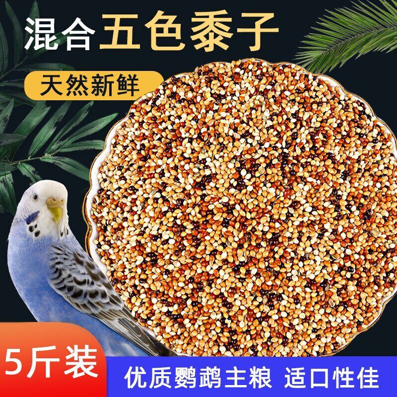 鹦鹉饲料鸟粮虎皮牡丹玄凤中小型鹦鹉鸟食五色黍子混合粮谷子5斤_虎窝淘