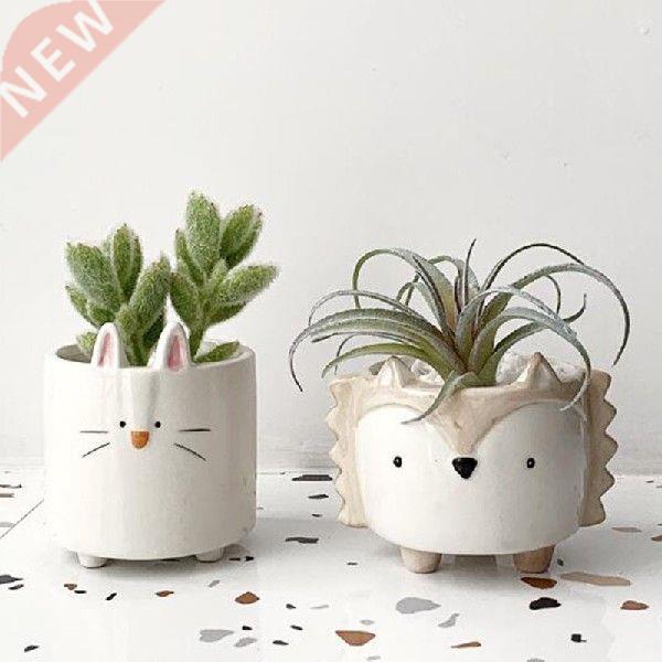 Cute Animal Shape Decorated Vase Ceric Succulent Plant