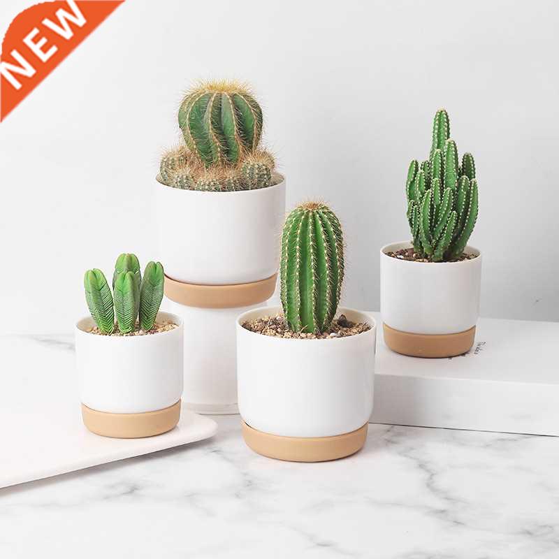 Green Dill Small Green Plant Flower Pot Succulent Plant Pot