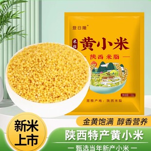 新黄小米陕西农家优质黄小米月子米新米煮粥熬米油五谷杂粮香糯