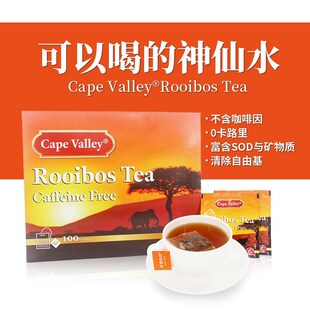 【星光村小飞】开普山谷路易博士I茶量贩装线叶金雀花茶