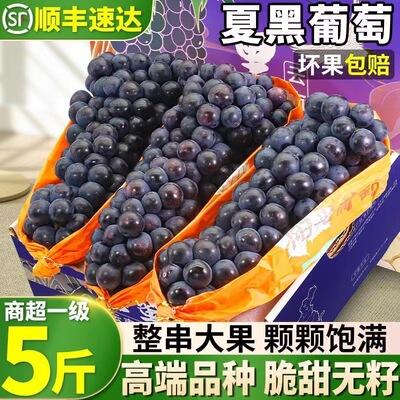 云南夏黑葡萄当季奶茶孕妇水果