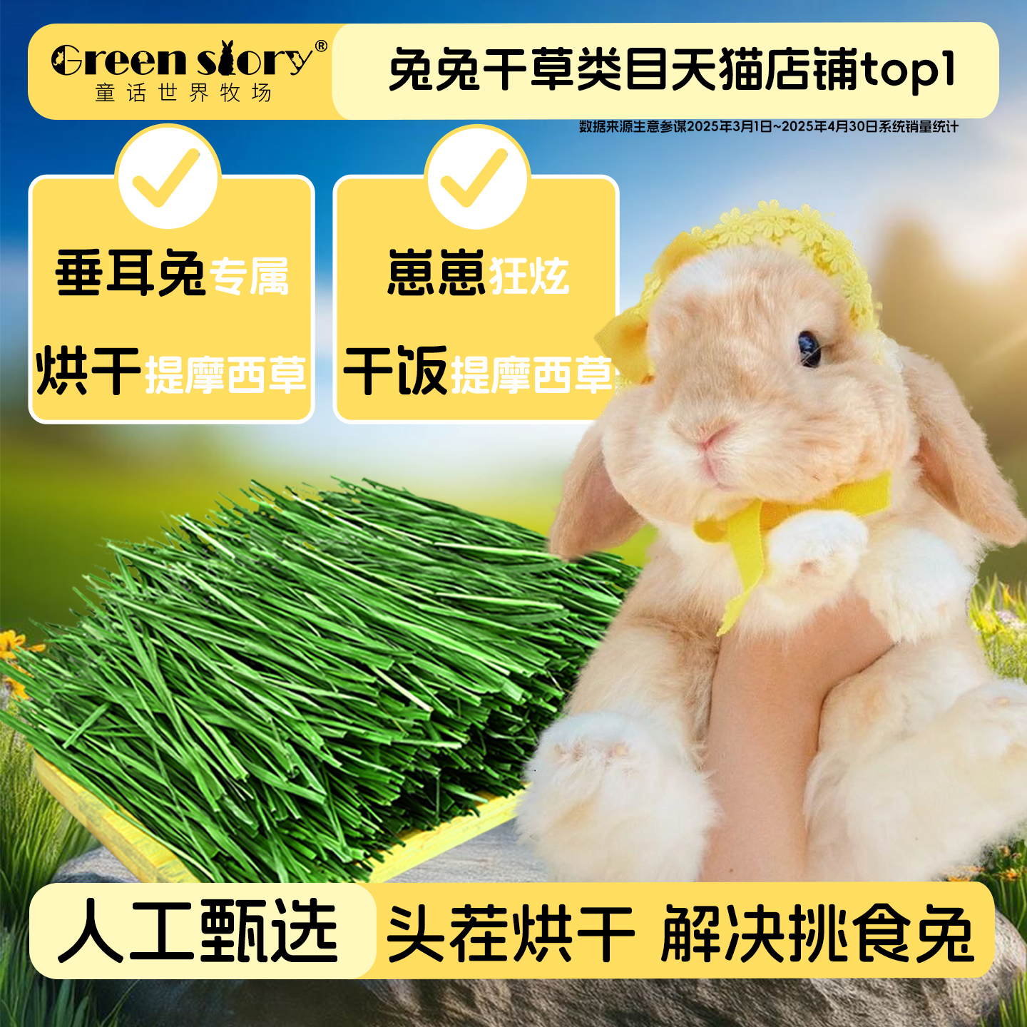 提摩西烘干草垂耳兔兔子食用干草