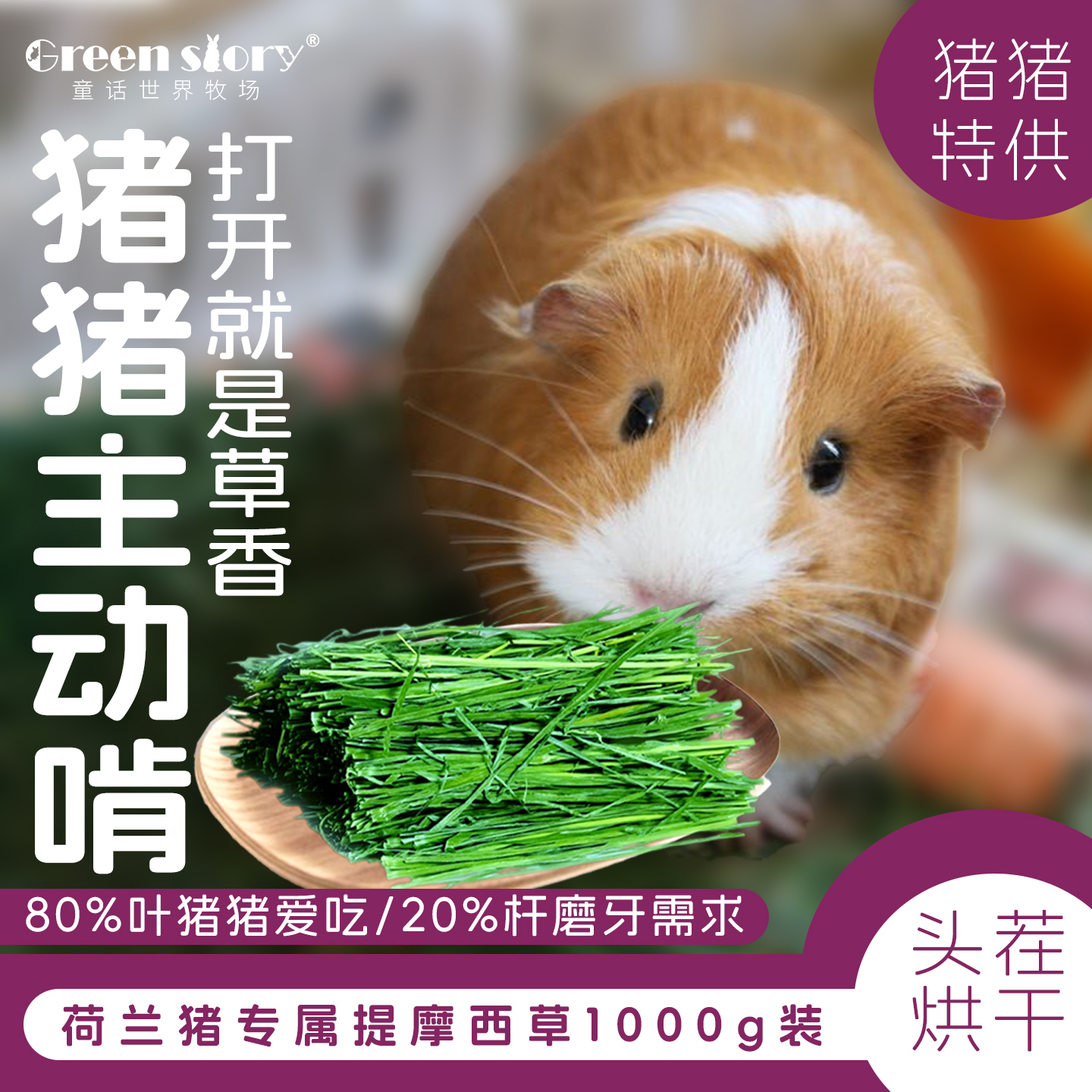 兔子干草荷兰猪专用草料豚鼠粮草