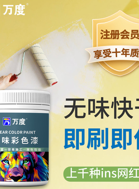 乳胶漆白色墙面发霉修复室内家用无甲醛净味墙漆翻新万度小罐套装