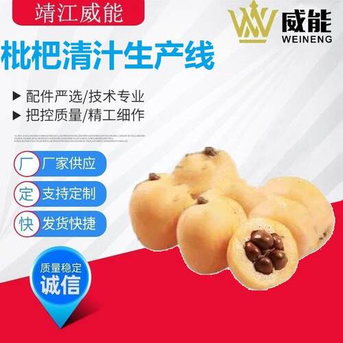 厂家直销大型工业商用不锈钢优质的枇杷清汁生产线