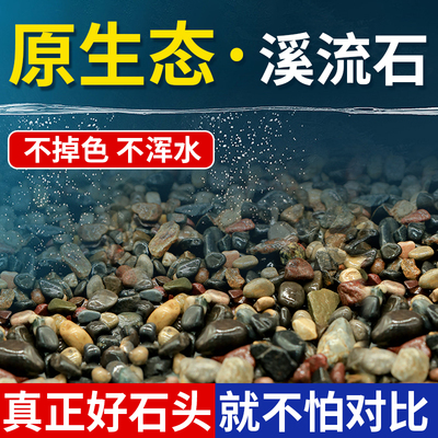 溪流石鱼缸底砂造景专用天然溪流砂鹅卵石龟缸水族箱免洗原生底沙