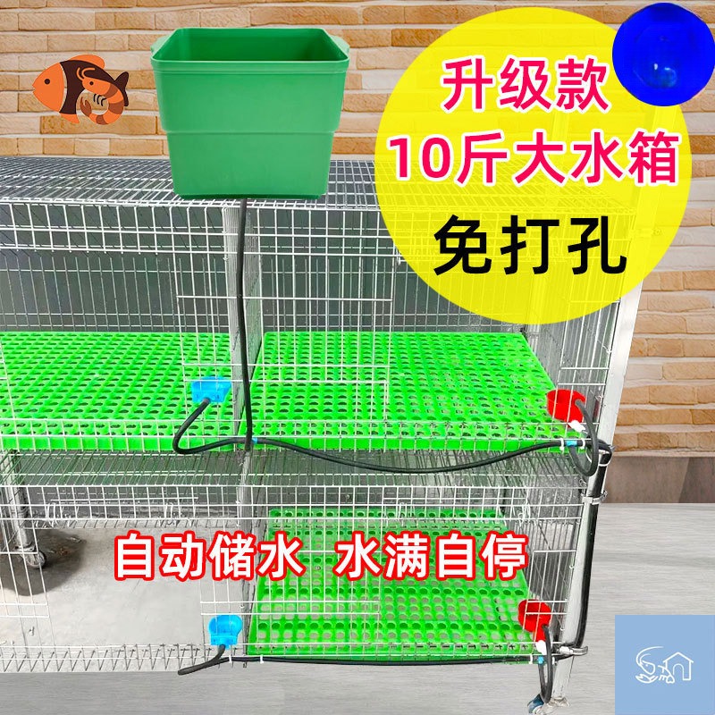 自动饮水器兔子鸡鸭鹌鹑芦丁鸡悬挂式二合一自动喂水器一整套