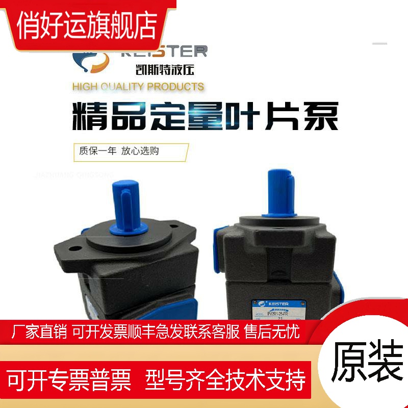 凯斯特KEISTER叶片泵PV2R1-10 14 17 19 23 25 28 31-FR 液压油泵