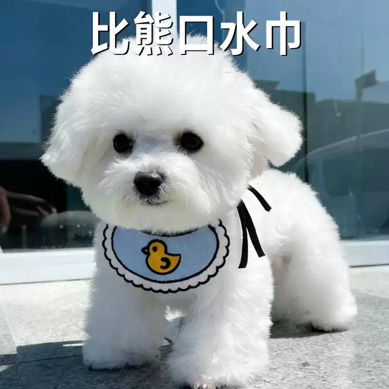 狗狗口水巾超小体比熊小型犬专用可爱装饰品吃饭围兜围嘴宠物用品