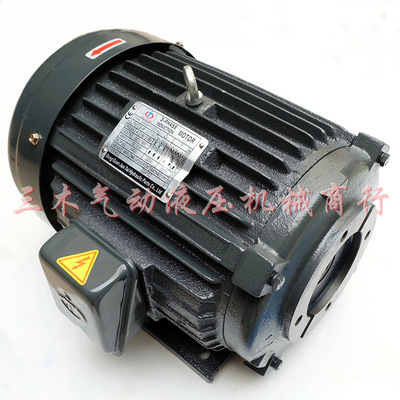 3-PHASE 油泵电机AEEH-112M-4 5HP-3.75KW马达