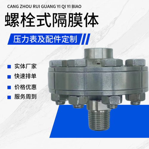 螺栓式不锈钢隔膜体压力表法兰