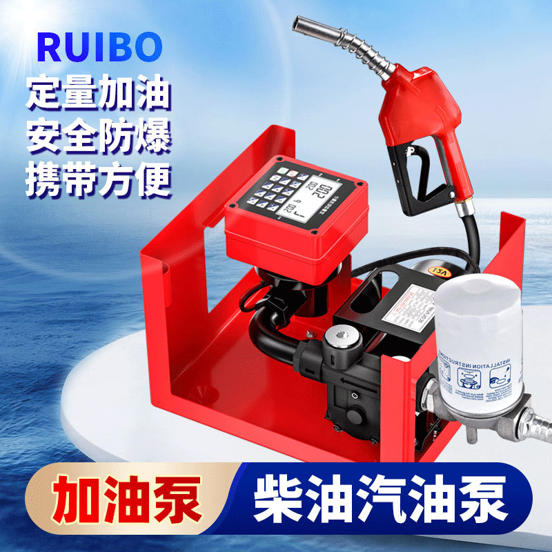 电动抽油泵定量加油机12V24V220V汽油柴油车载手提大流量加油总成