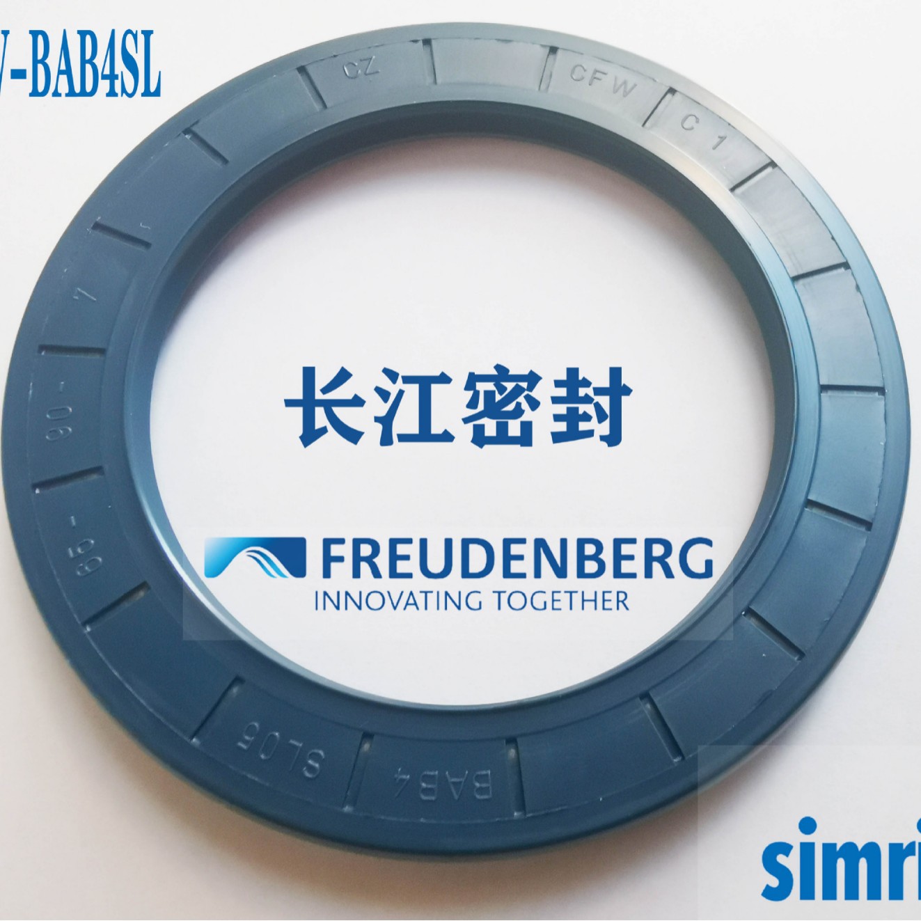 德国CFW进口骨架油封DIN3760A