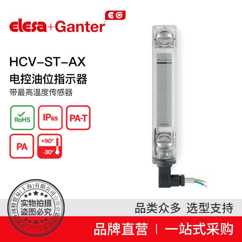 Elesa Ganter伊莉莎冈特 HCV-ST-AX 电控油位指示器