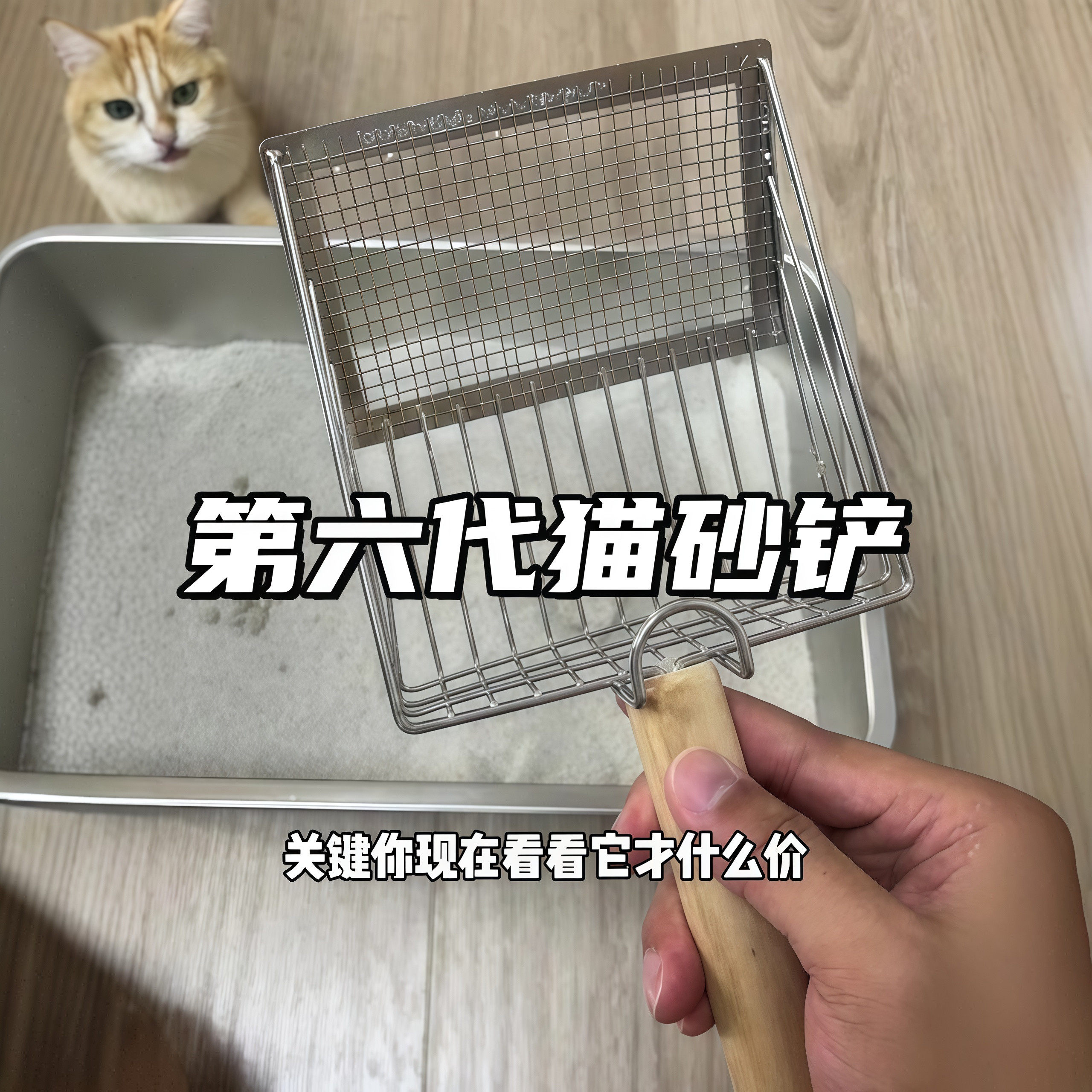 猫砂铲细孔不锈钢专用铲子猫咪猫屎豆腐砂二合一矿砂大号铲屎神器