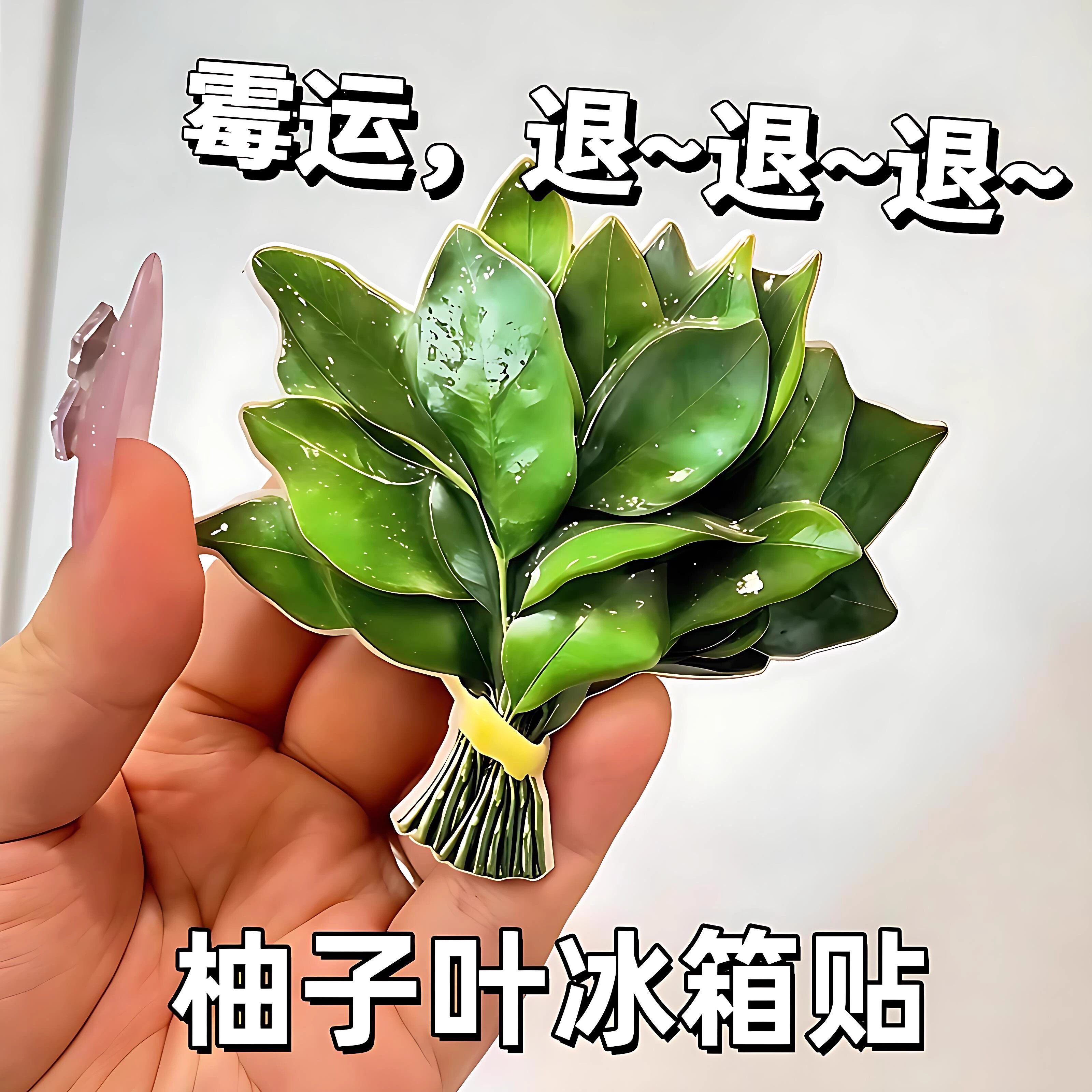 柚子叶冰箱贴去晦气磁贴转运个性创意磁吸装饰可爱趣味高级亚克力