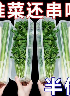 香菜小葱冰箱保鲜收纳盒/防捂防霉防潮/五谷杂粮不占空间锁鲜神器