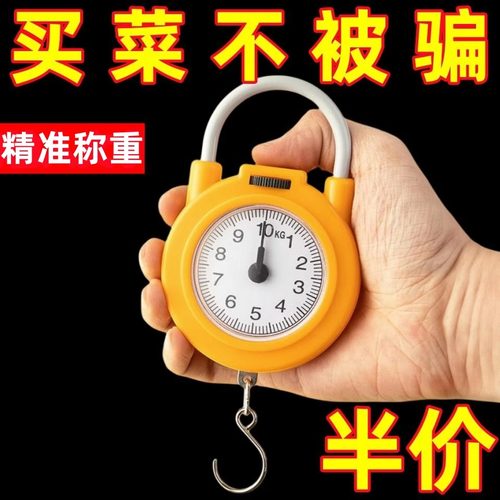 弹簧秤高精度手提称便捷式家用
