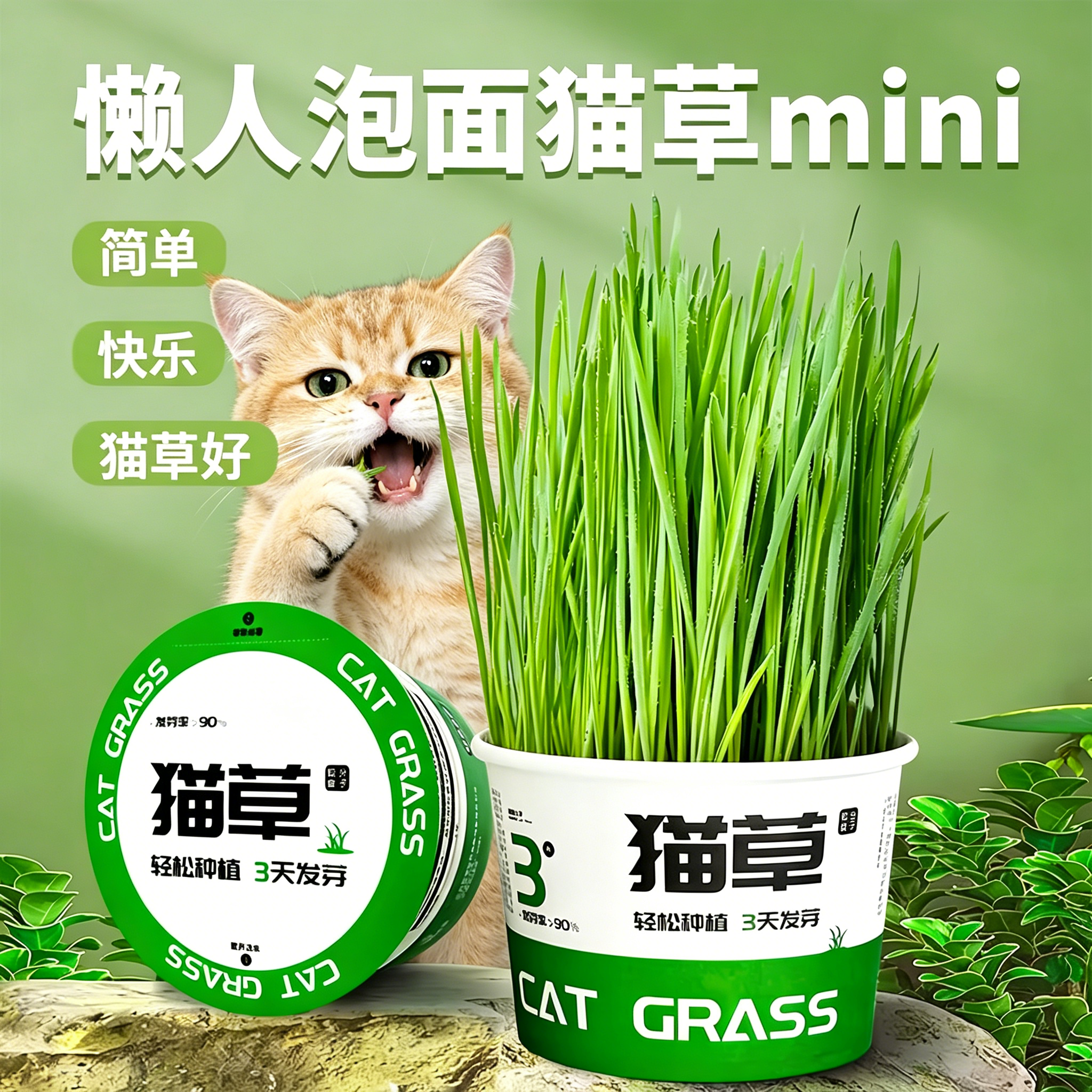 懒人泡面猫草盆栽种子猫薄荷猫咪用品大全零食轻松温和排毛化草毛