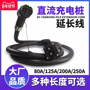 国家电网直流充电桩延长线电动汽车货车快充9孔充电枪加长比亚迪