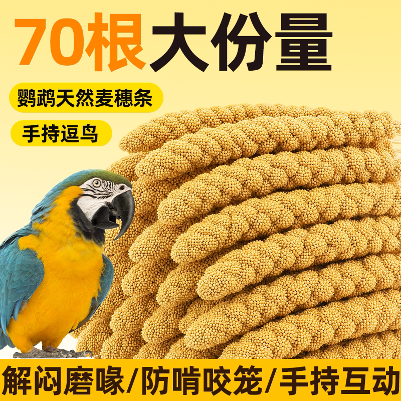 鹦鹉零食逗鸟棒谷穗麦穗黄谷子鸟粮饲料训练奖励玩具牡丹鹦鹉专用图片