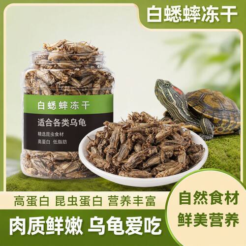 白蟋蟀冻干乌龟通用陆龟甲鱼黄缘寸金龟粮守宫食物虫干饲料互动