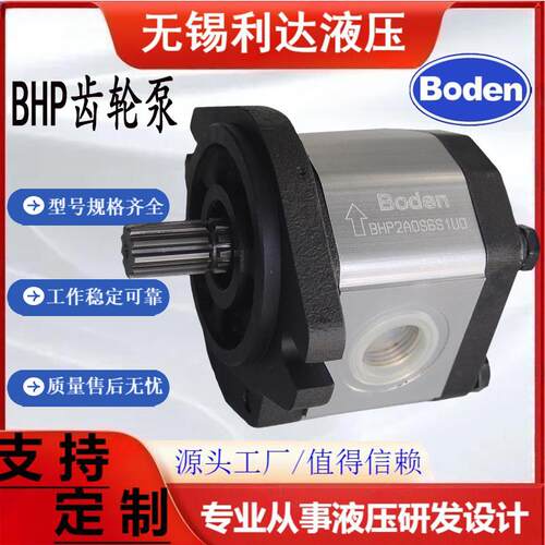 新款齿轮泵BHP3A0D55C2L2/D20/D26/D33/D46/D50/D52/D39/D63/包邮