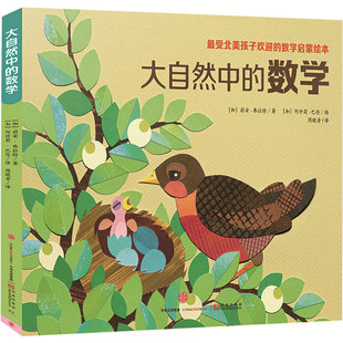 大自然中的数学套装全4册 数学启蒙绘本 内附亲子游戏指南拼贴画