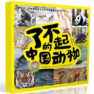 了不起的中国动物 全12册穿山甲 东北虎 雪豹 普氏野马 斑鳖  一套适合亲子共读的动物图画书小学生课外阅读熊猫动物知识百科全书