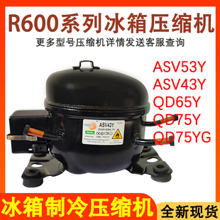 ASV43Y QD65 制冷剂R600a小冰箱 QD53 适用于阿斯贝拉压缩机QD43