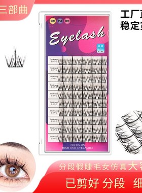 False Eyelashes Stable OneCluster Sectioned Lazy ThreeStep S