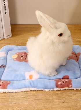 Thickened Warm Pet Mat for Rabbit Guinea Pig Hedgehog Squirr