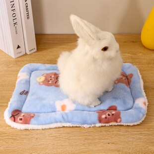 Thickened Warm Pet Mat for Rabbit Guinea Pig Hedgehog Squirr