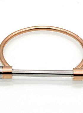 Interchangeable Titanium Steel Horseshoe Bracelet Dshaped Ho