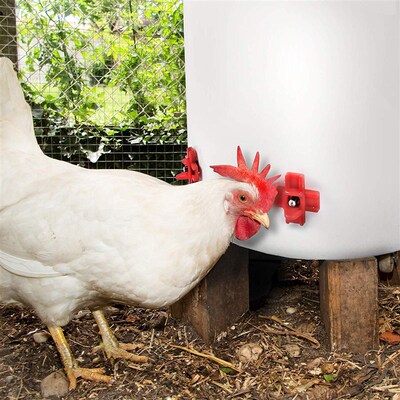 New Automatic Chicken Drinker Ball Nipple Waterer HighQualit